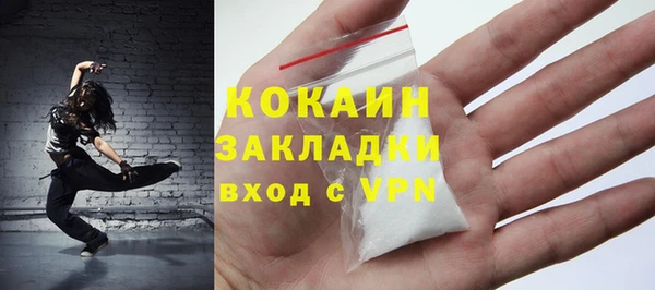 амф Бородино
