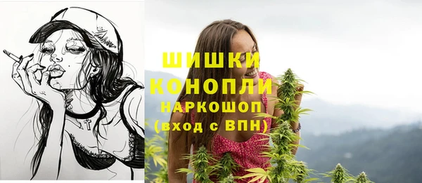 амф Бородино