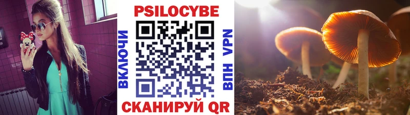 Галлюциногенные грибы MAGIC MUSHROOMS Дзержинский