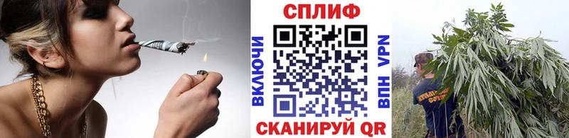 Каннабис конопля Дзержинский